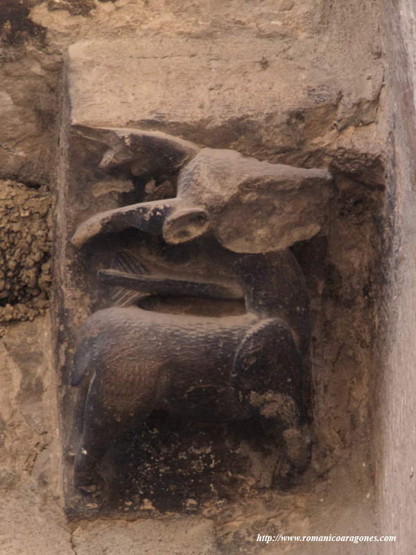 CANECILLO MURO NORTE: CIERVO